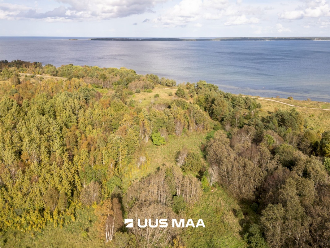 Lääne-Harju vald, Paldiski linn