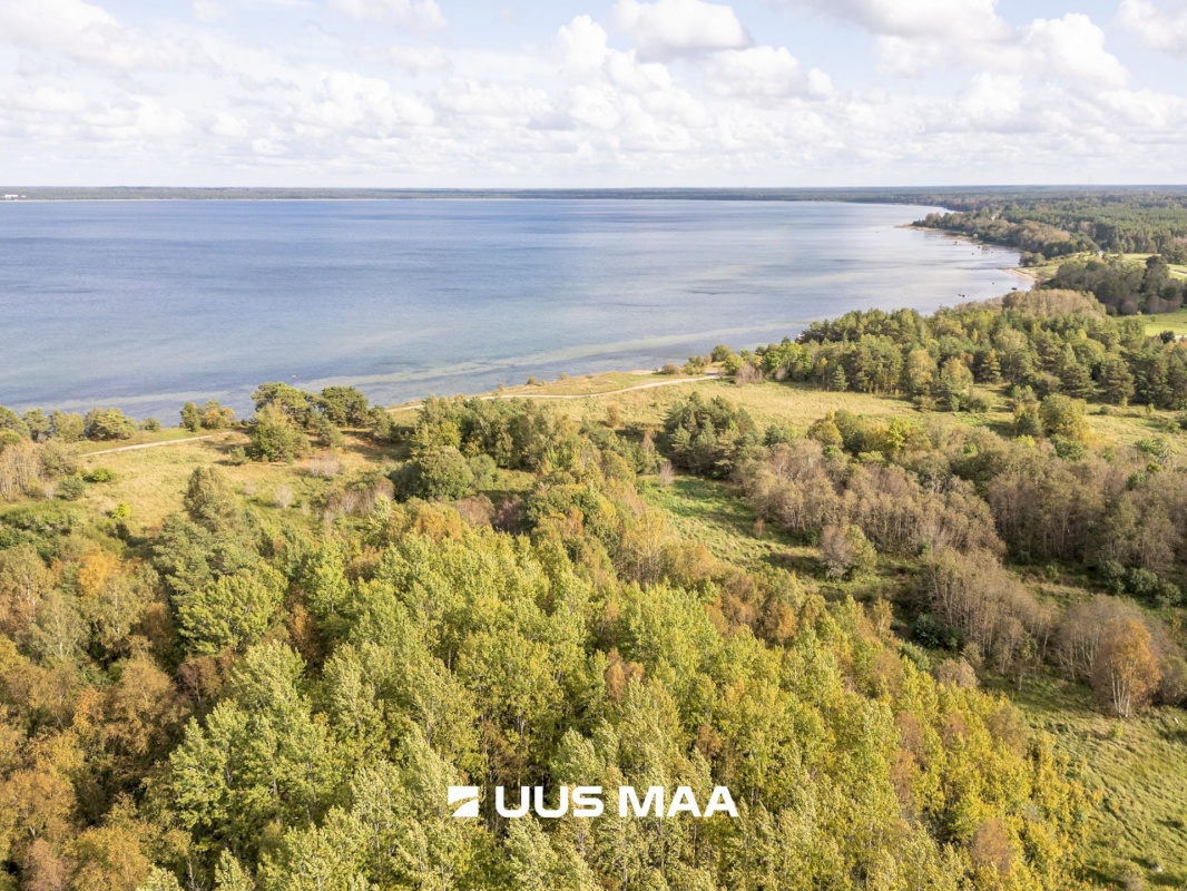 Lääne-Harju vald, Paldiski linn