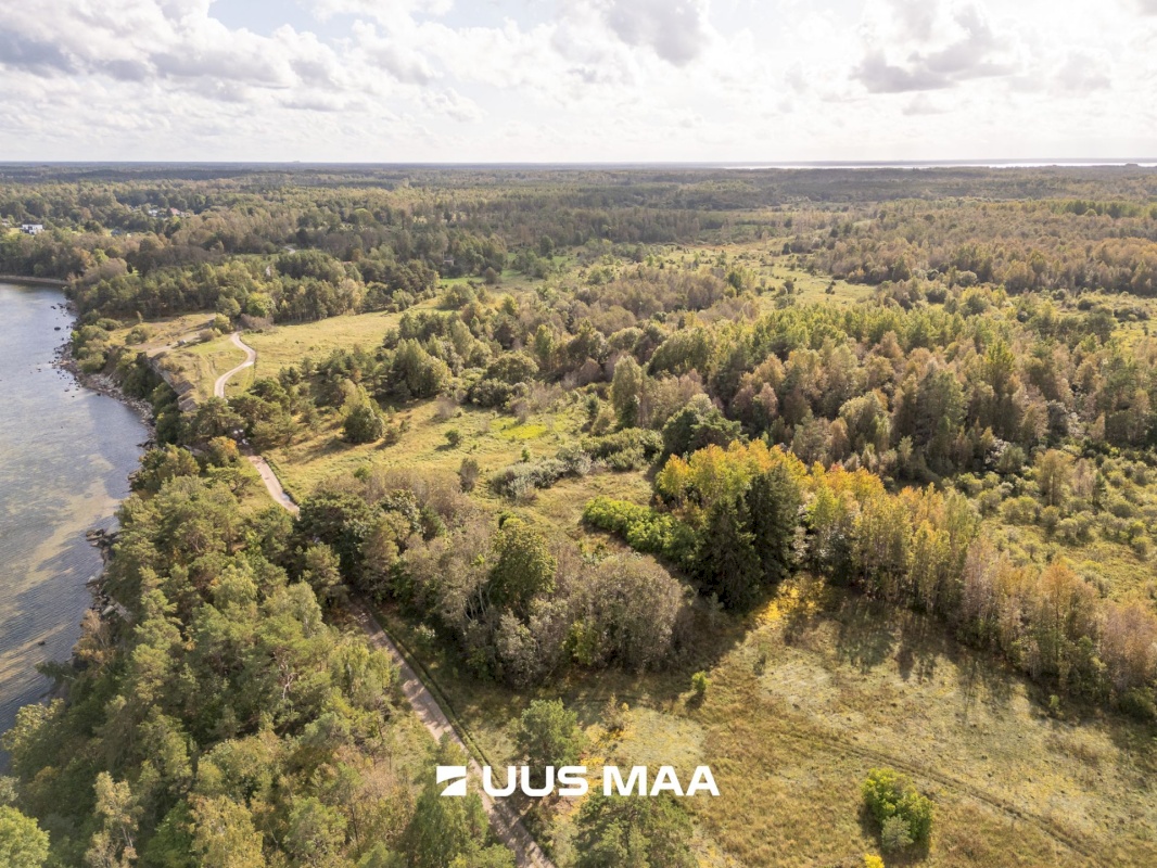 Lääne-Harju vald, Paldiski linn