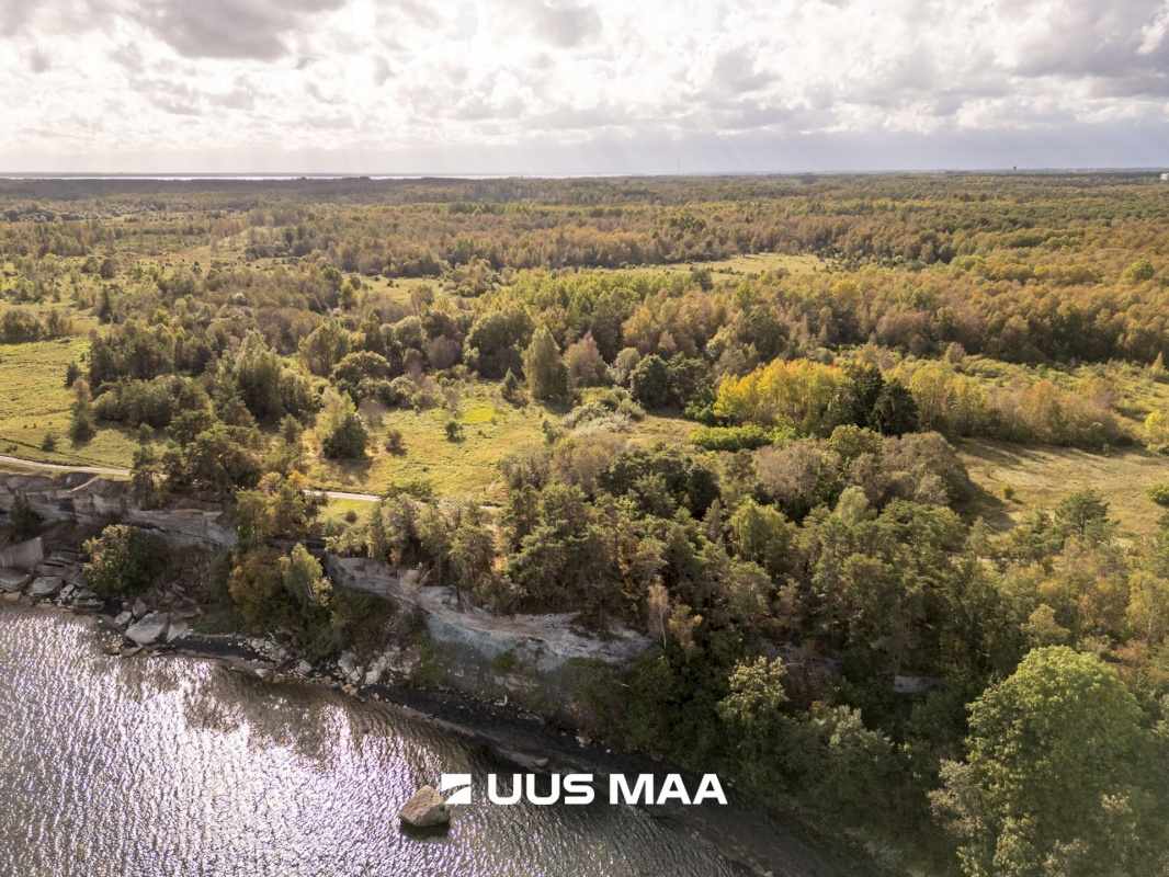 Lääne-Harju vald, Paldiski linn