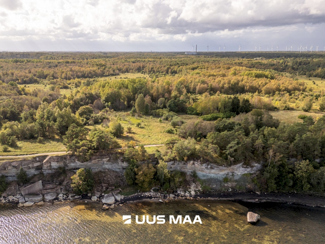 Lääne-Harju vald, Paldiski linn