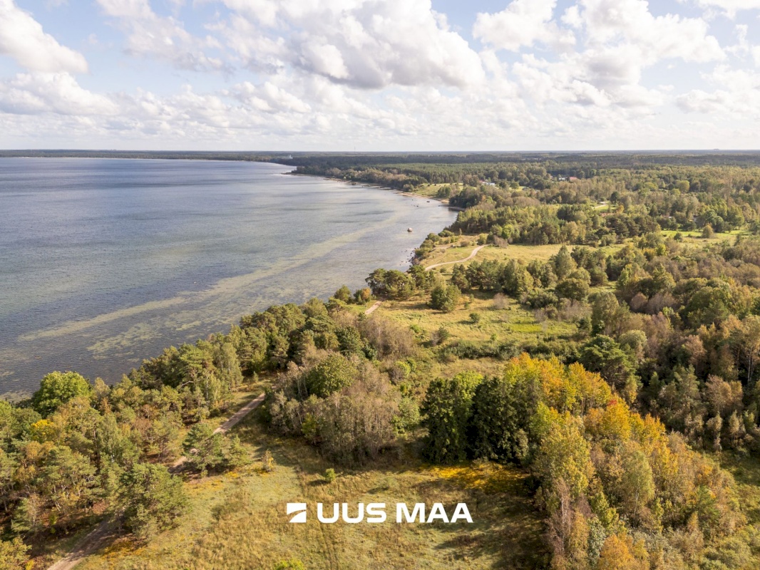 Lääne-Harju vald, Paldiski linn