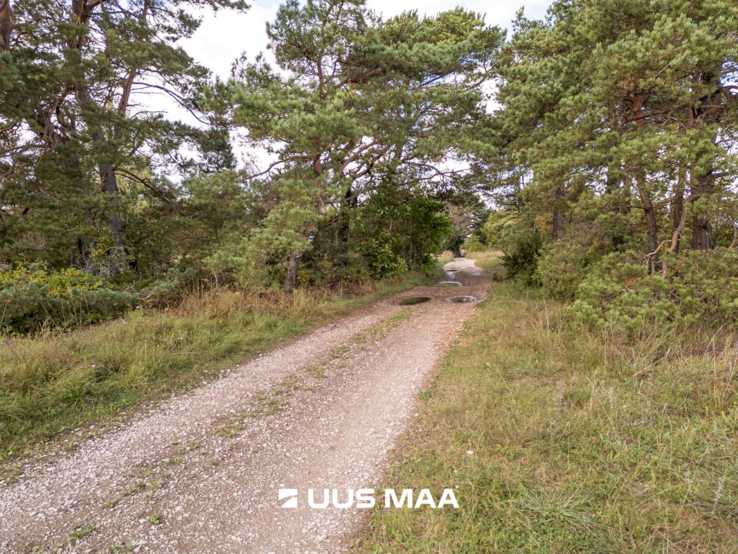 Lääne-Harju vald, Paldiski linn