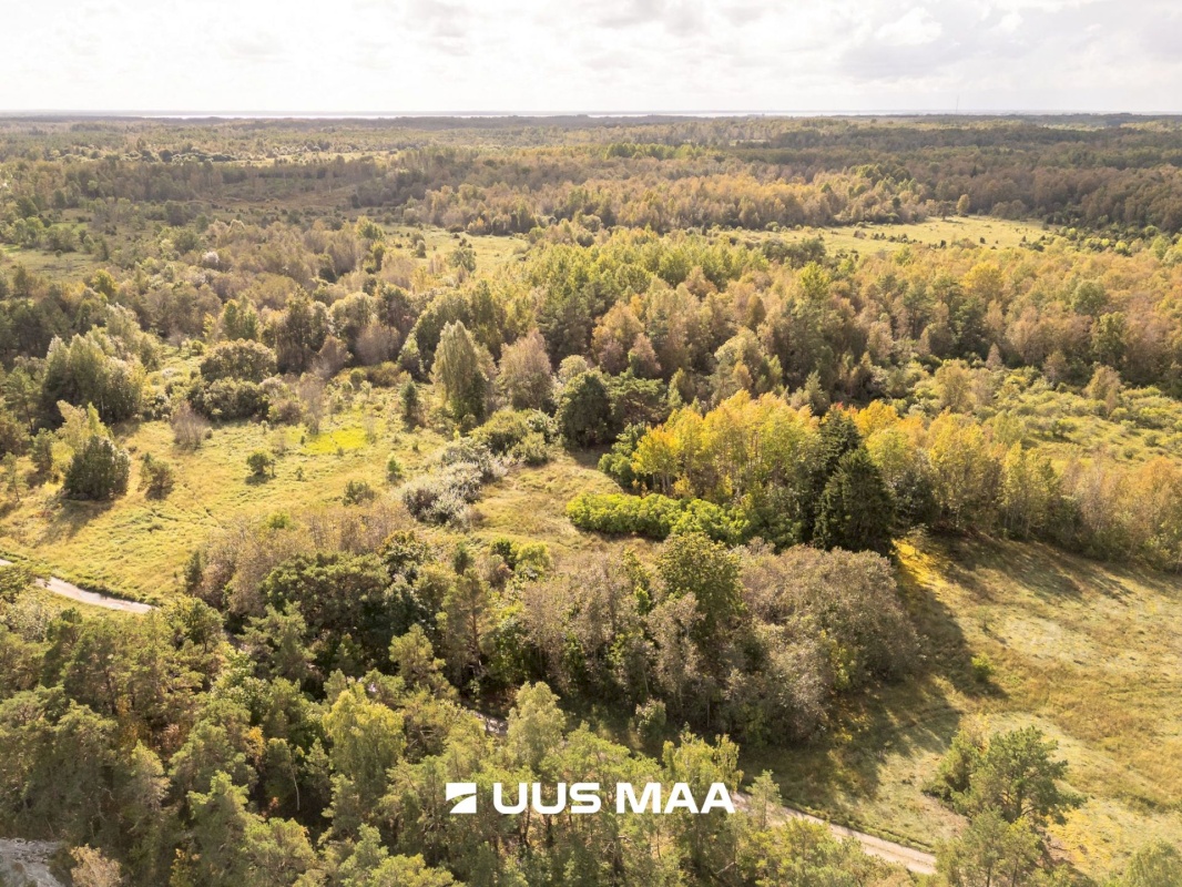 Lääne-Harju vald, Paldiski linn