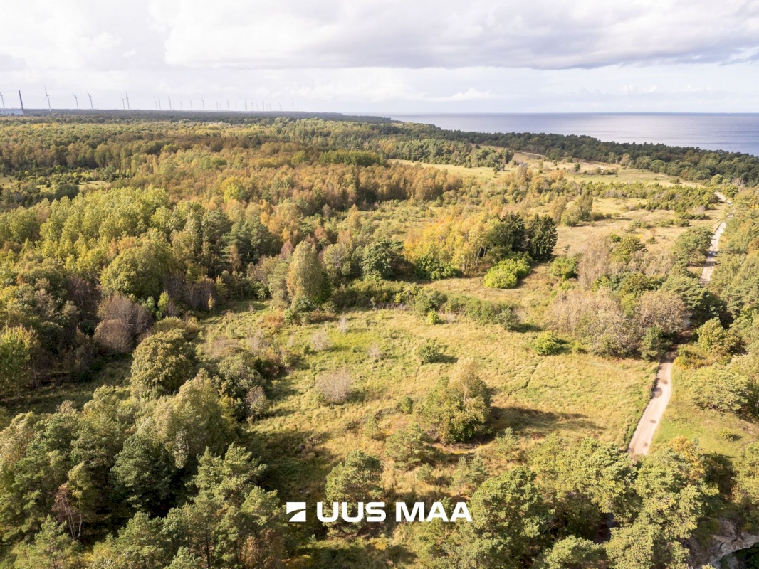 Lääne-Harju vald, Paldiski linn