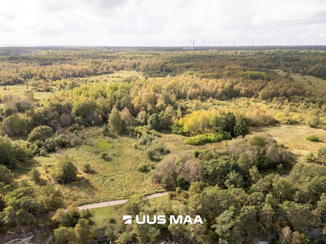 Lääne-Harju vald, Paldiski linn