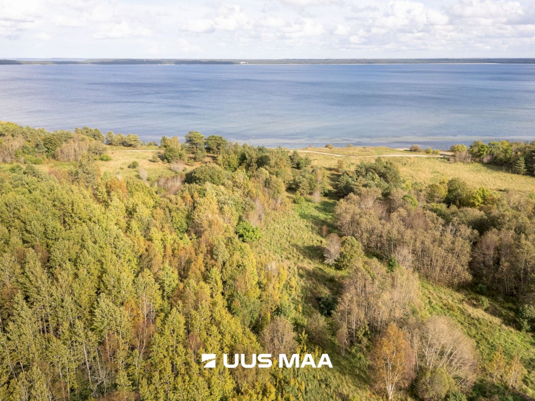 Lääne-Harju vald, Paldiski linn