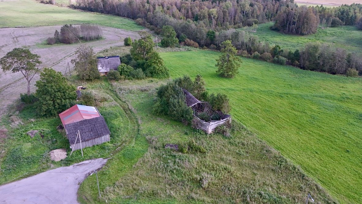 Järva vald, Jõgisoo küla, Kiika