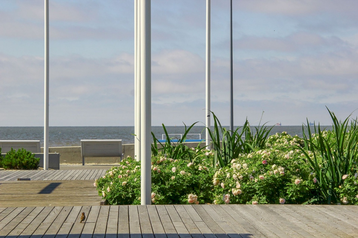 Pärnu linn, Pärnu linn, Rannarajoon, Karusselli tn 82
