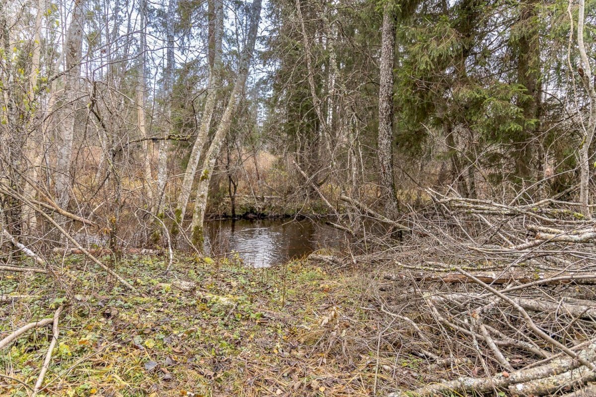 Kanepi vald, Jõgehara küla, Sooserva