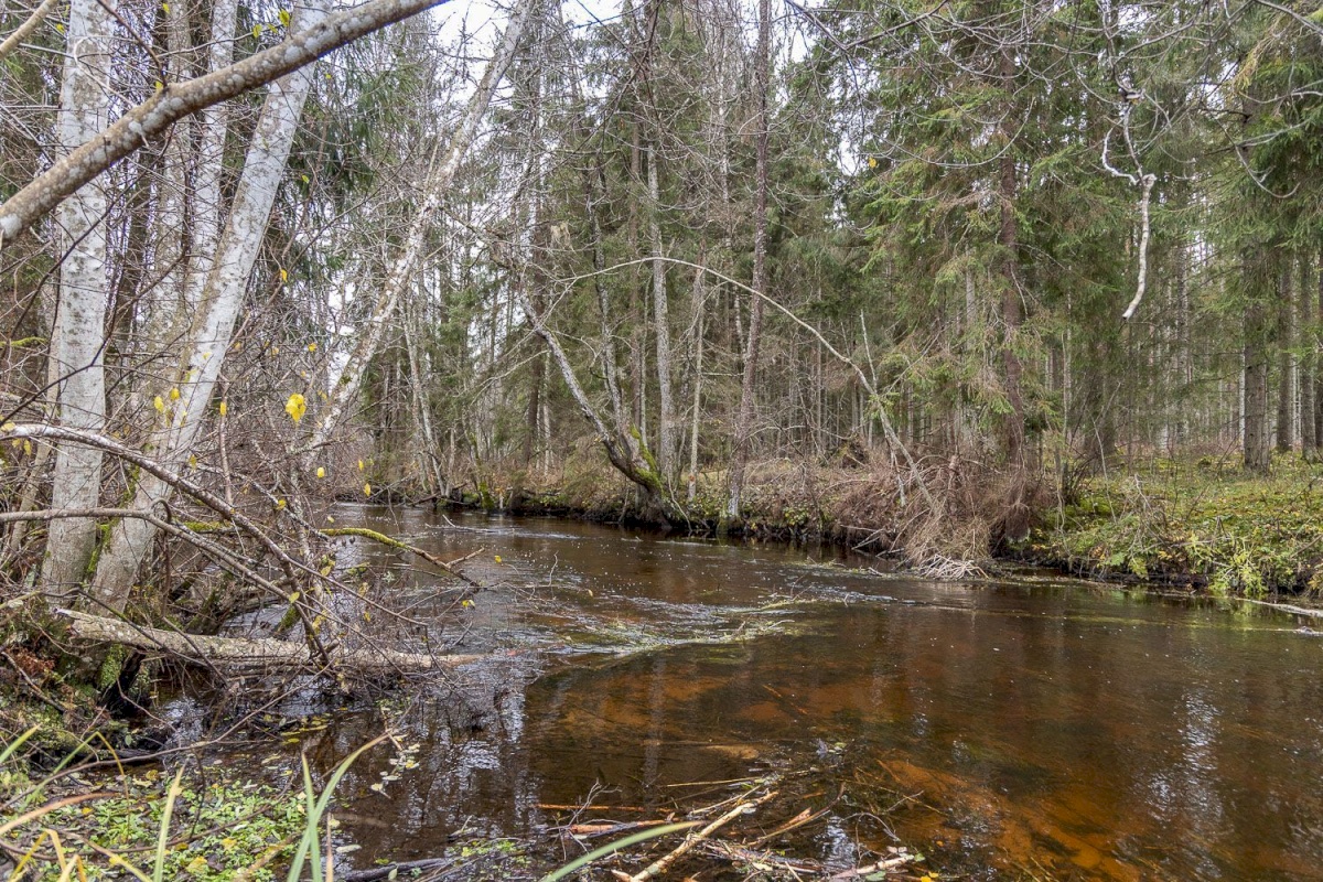 Kanepi vald, Jõgehara küla, Sooserva