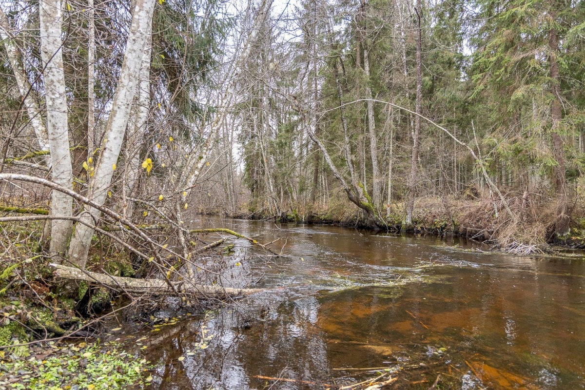 Kanepi vald, Jõgehara küla, Sooserva