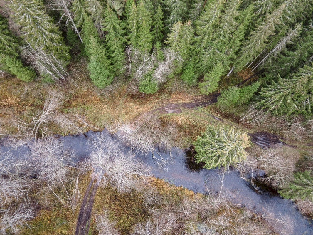 Kanepi vald, Jõgehara küla, Sooserva