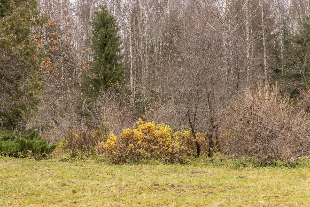 Kanepi vald, Jõgehara küla, Sooserva
