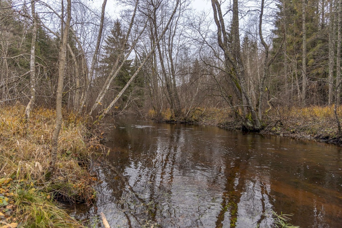 Kanepi vald, Jõgehara küla, Sooserva