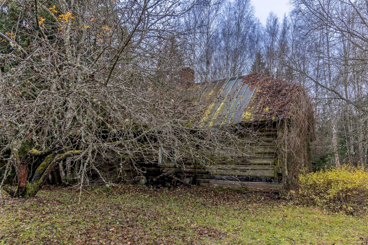 Kanepi vald, Jõgehara küla, Sooserva