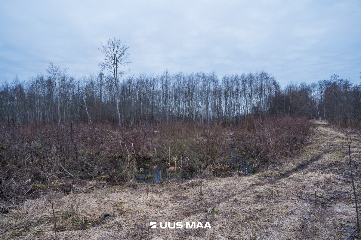 Tõrva vald, Riidaja küla, Metsavahi