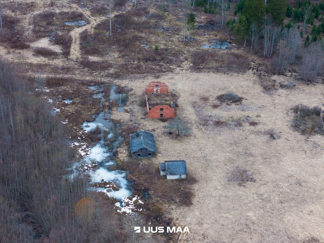 Tõrva vald, Riidaja küla, Metsavahi