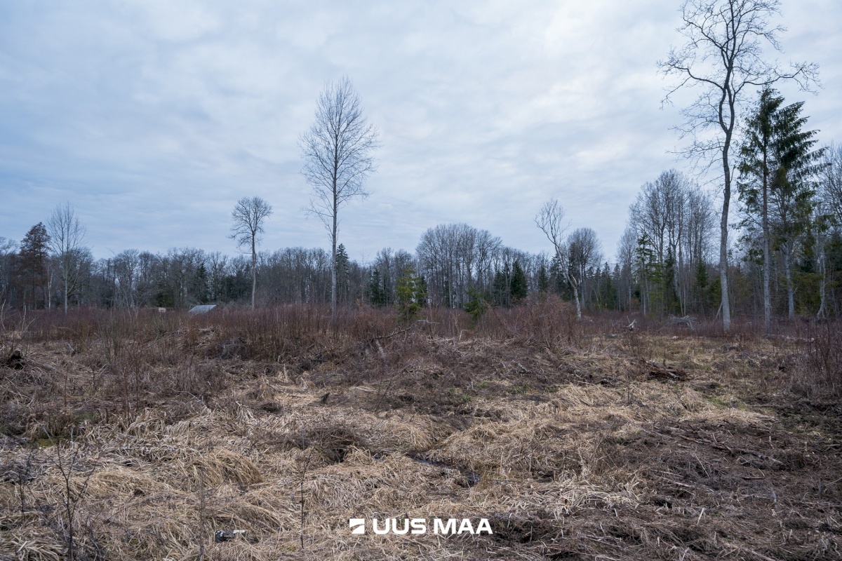 Tõrva vald, Riidaja küla, Metsavahi