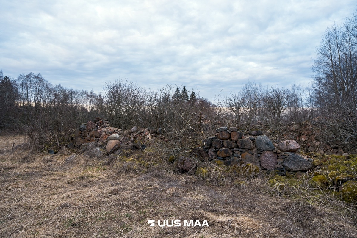 Tõrva vald, Riidaja küla, Metsavahi
