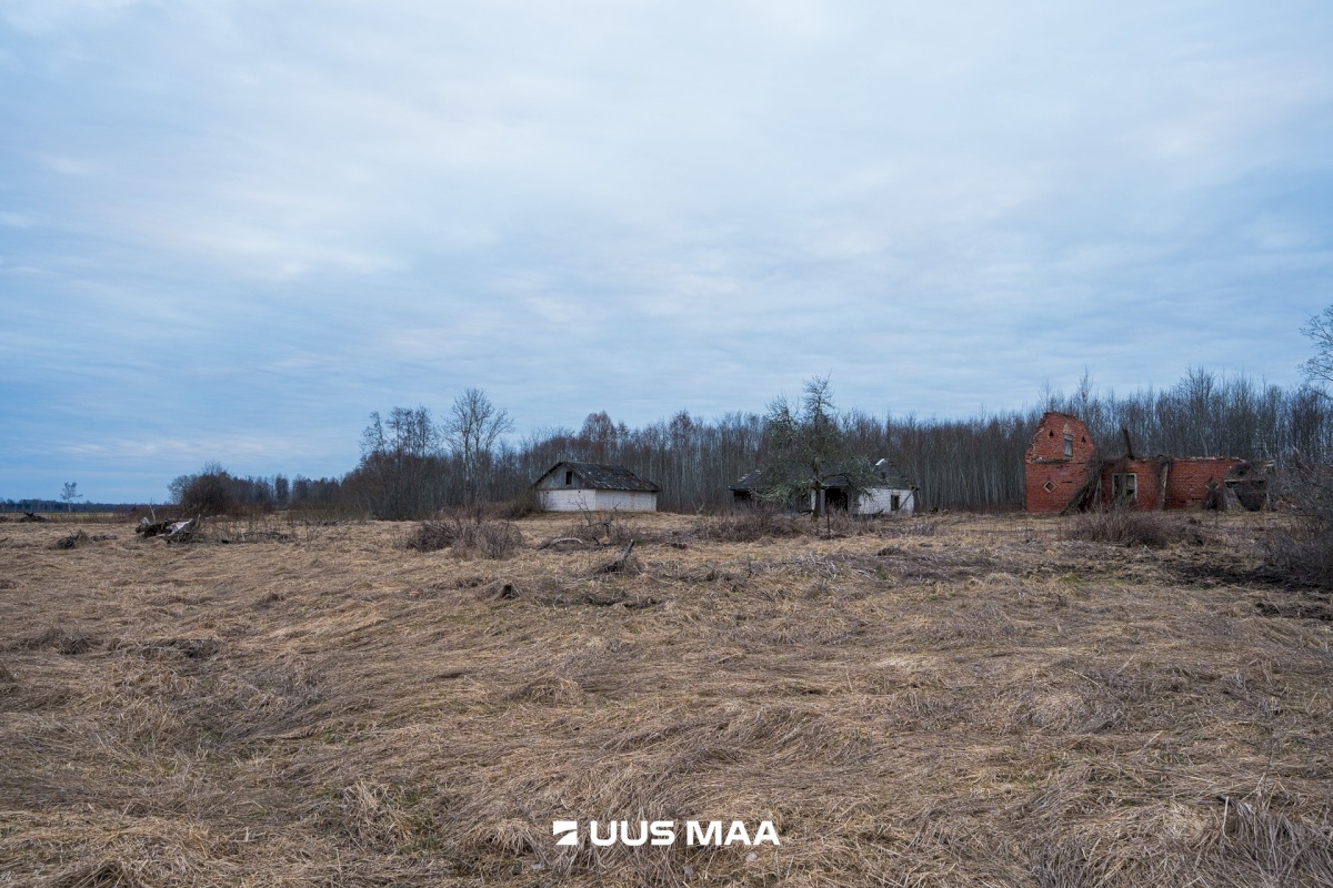 Tõrva vald, Riidaja küla, Metsavahi