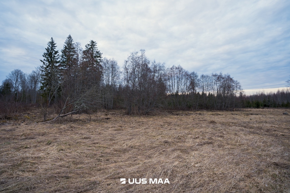 Tõrva vald, Riidaja küla, Metsavahi