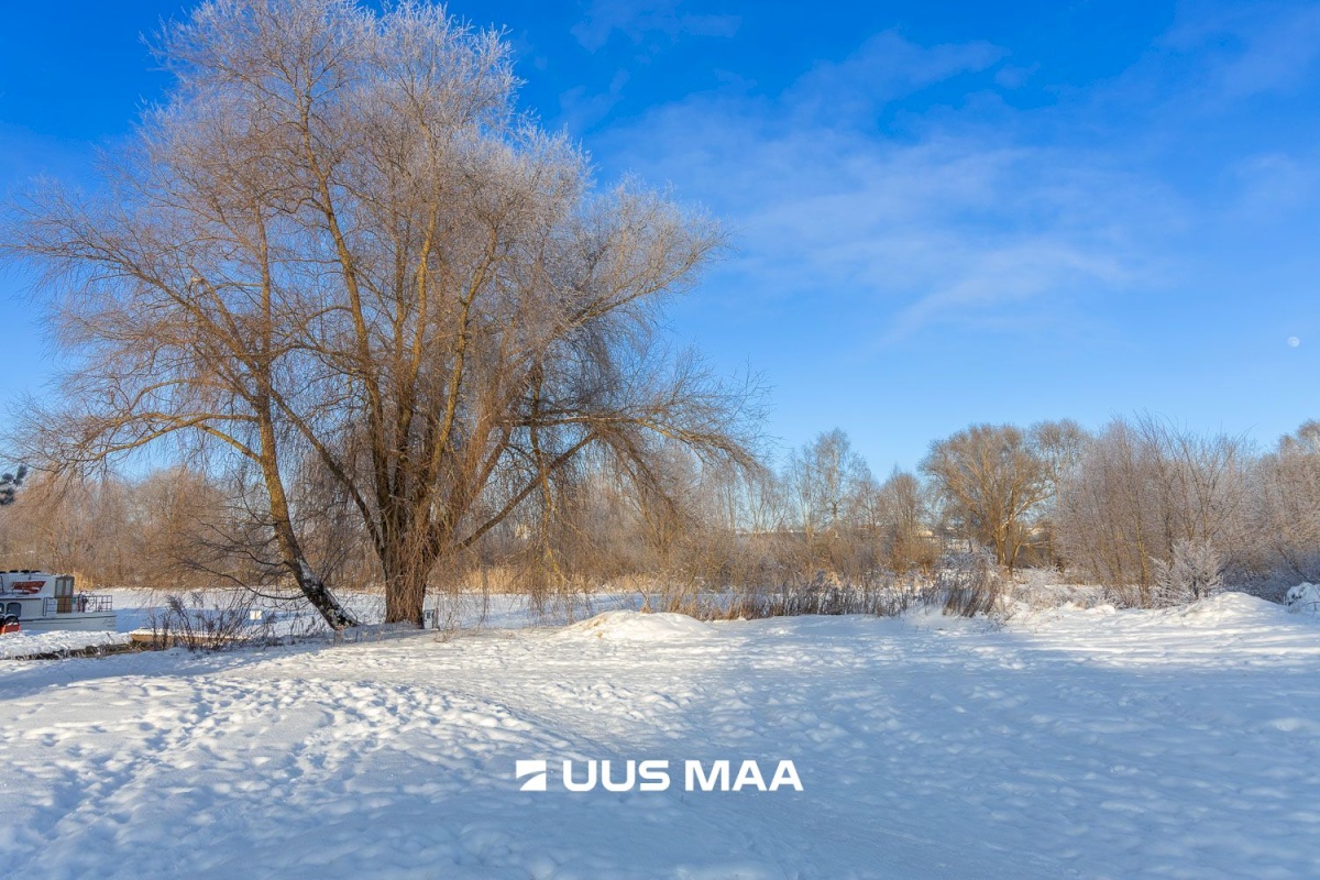 Tartu linn, Tartu linn, Kesklinn, Aleksandri 42