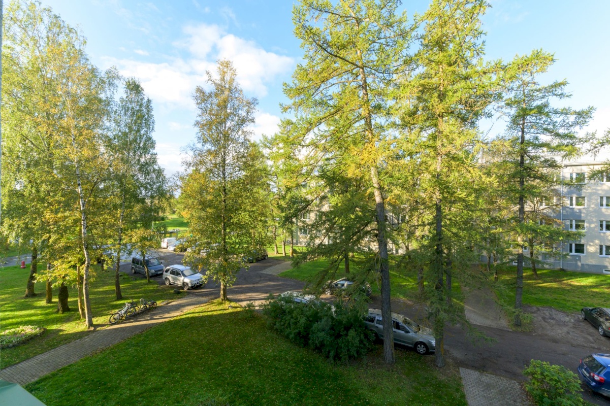 Rakvere linn, Lennuki 2
