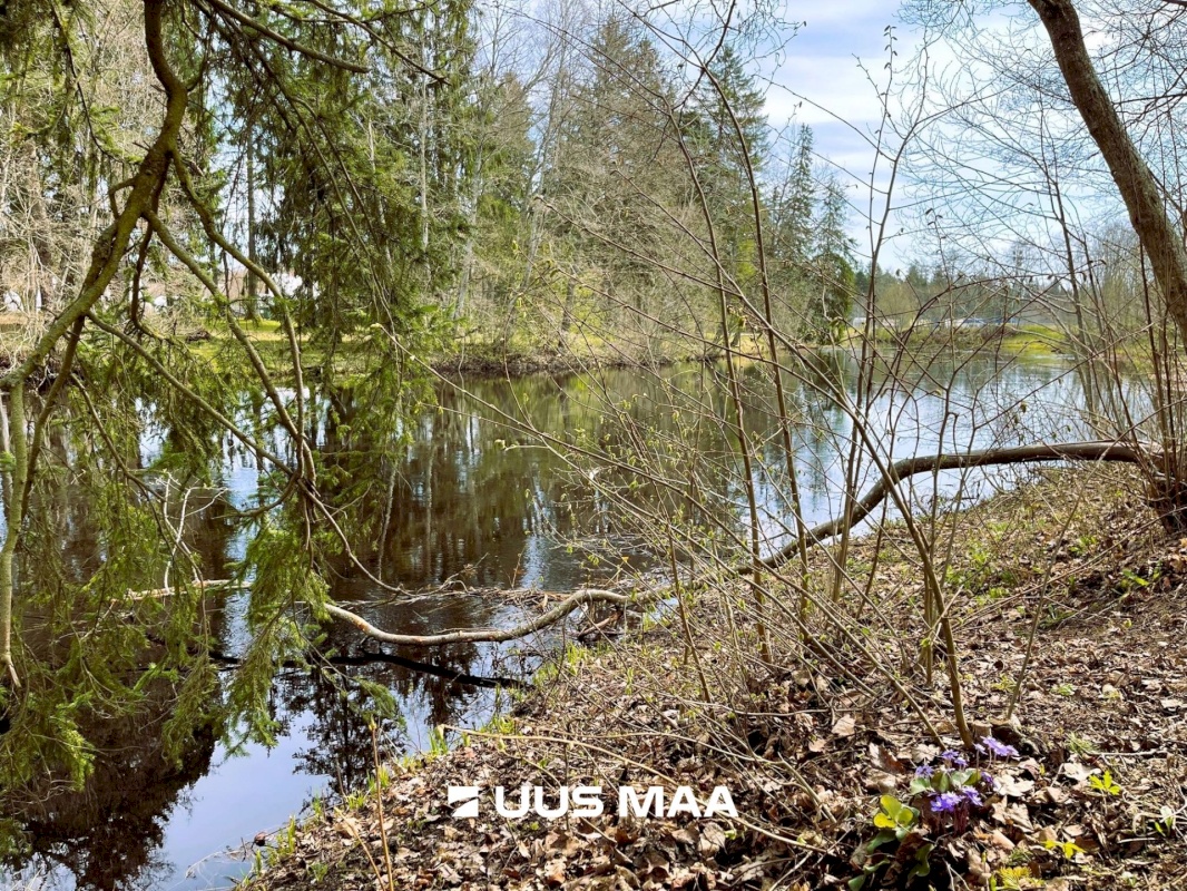 Anija vald, Kehra linn, Kooli tn 21
