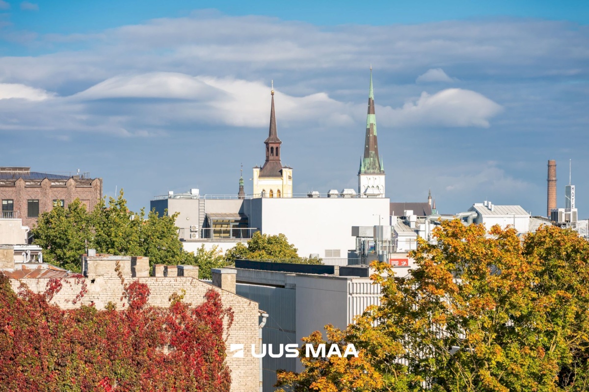 Tallinn, Kesklinna linnaosa, Roosikrantsi 23