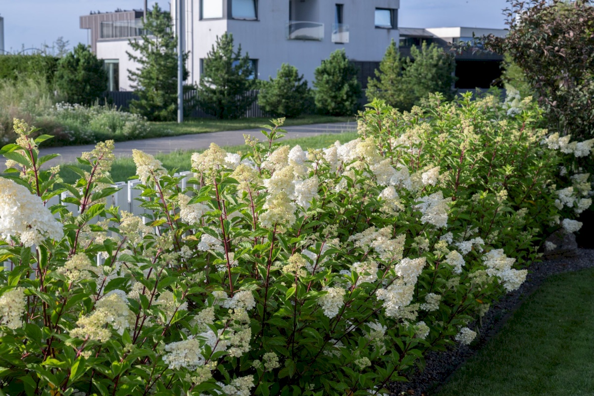 Tallinn, Haabersti linnaosa, Tiskre, Teisepere tn 1