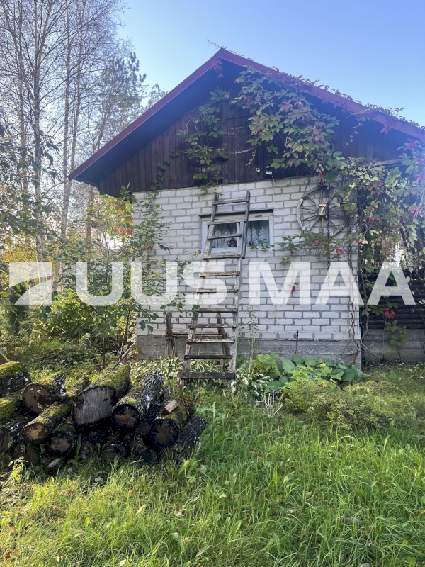 Saue vald, Kibuna küla, Porri AÜ