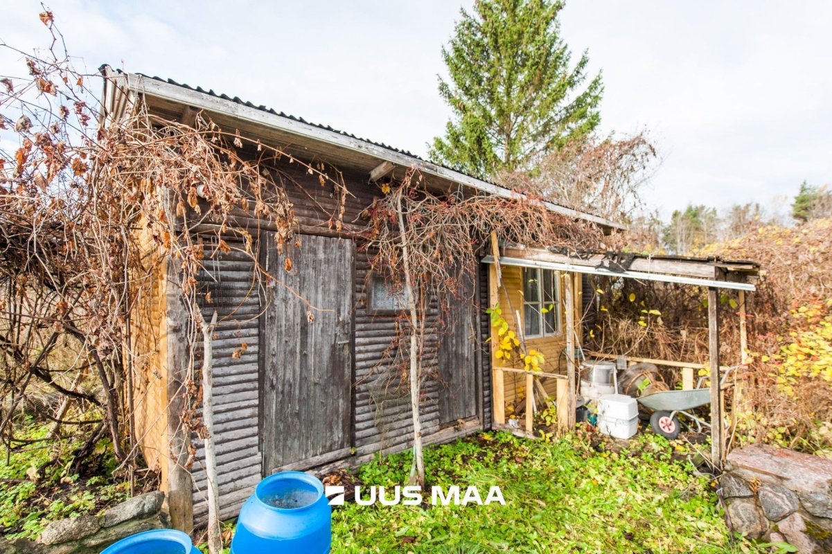 Saue vald, Kibuna küla, Porri AÜ