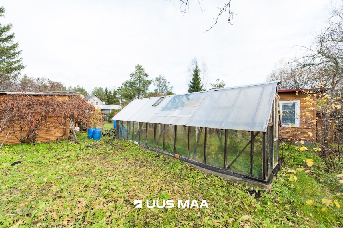 Saue vald, Kibuna küla, Porri AÜ