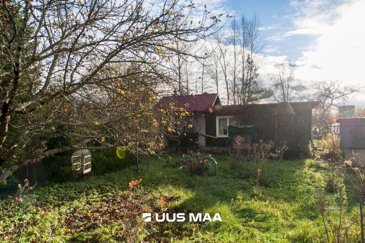 Saue vald, Kibuna küla, Porri AÜ