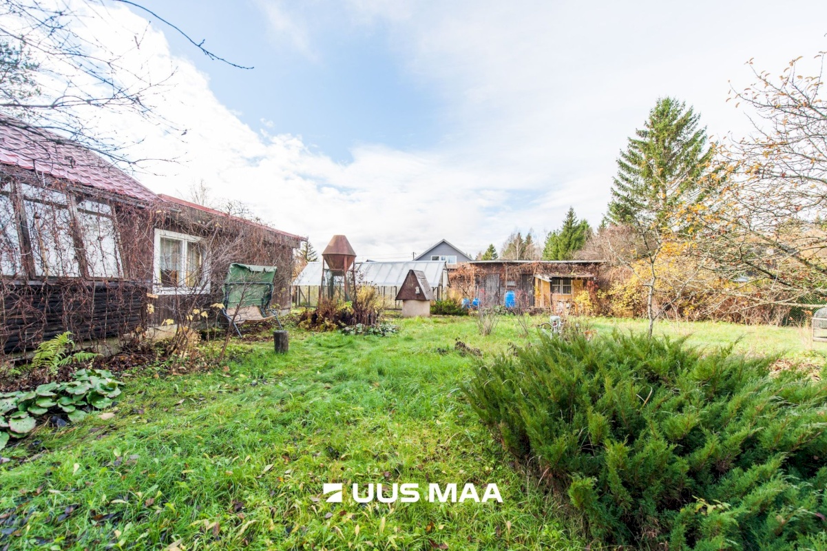 Saue vald, Kibuna küla, Porri AÜ