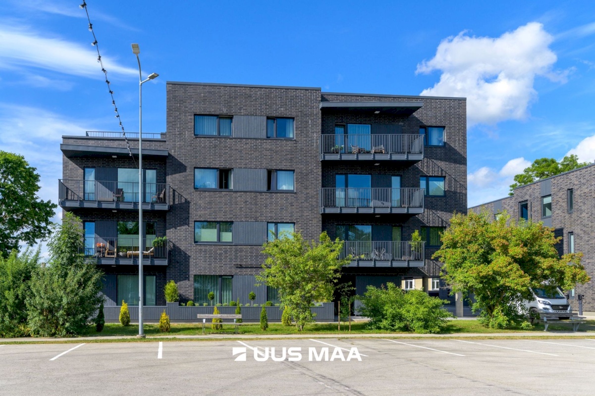 Rakvere linn, Kastani 10a