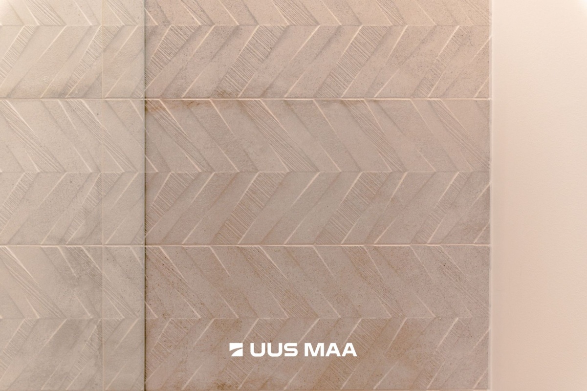 Rakvere linn, Kastani 10a