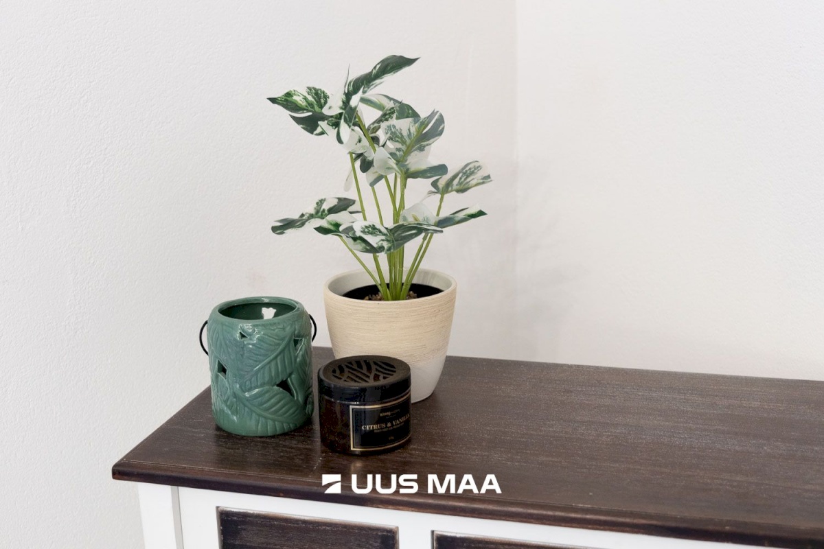 Tartu linn, Tartu linn, Maarjamõisa, Väike Kaar 70