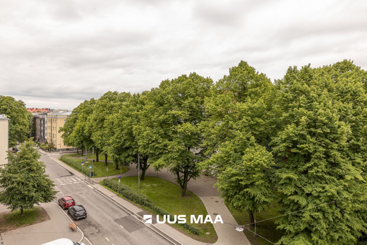 Tallinn, Kesklinna linnaosa, Pronksi 7