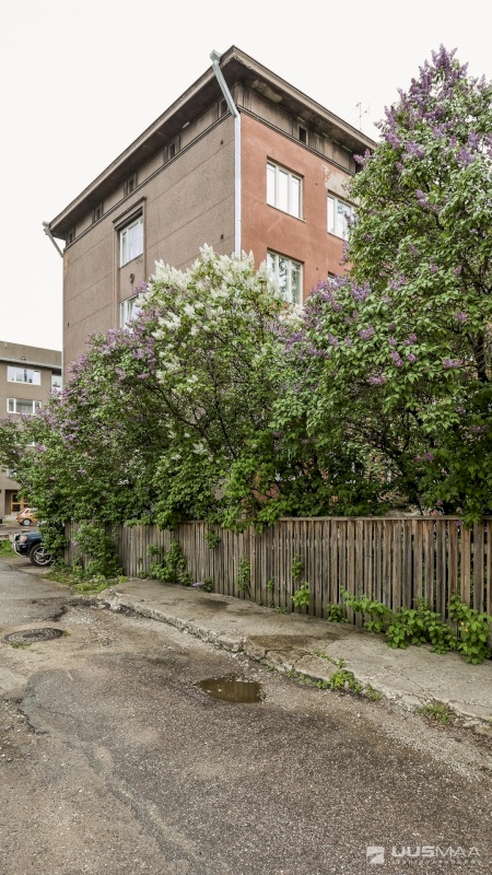 Tallinn, Kesklinna linnaosa, Raua, Tina 17