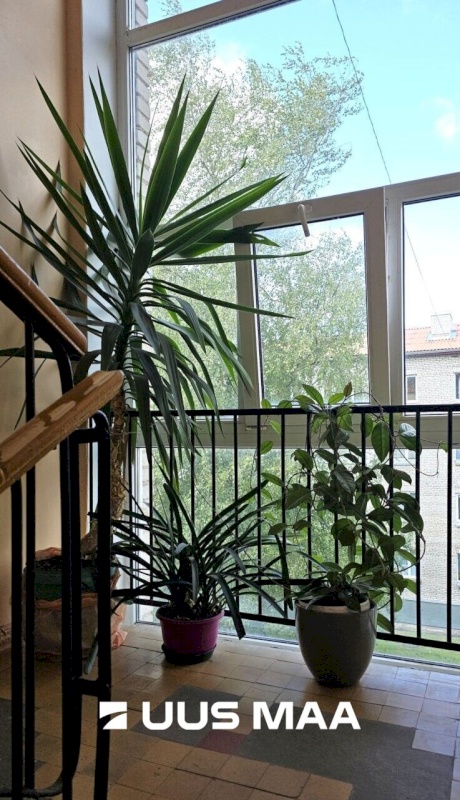 Jõhvi vald, Jõhvi linn, Koidu tn 2v