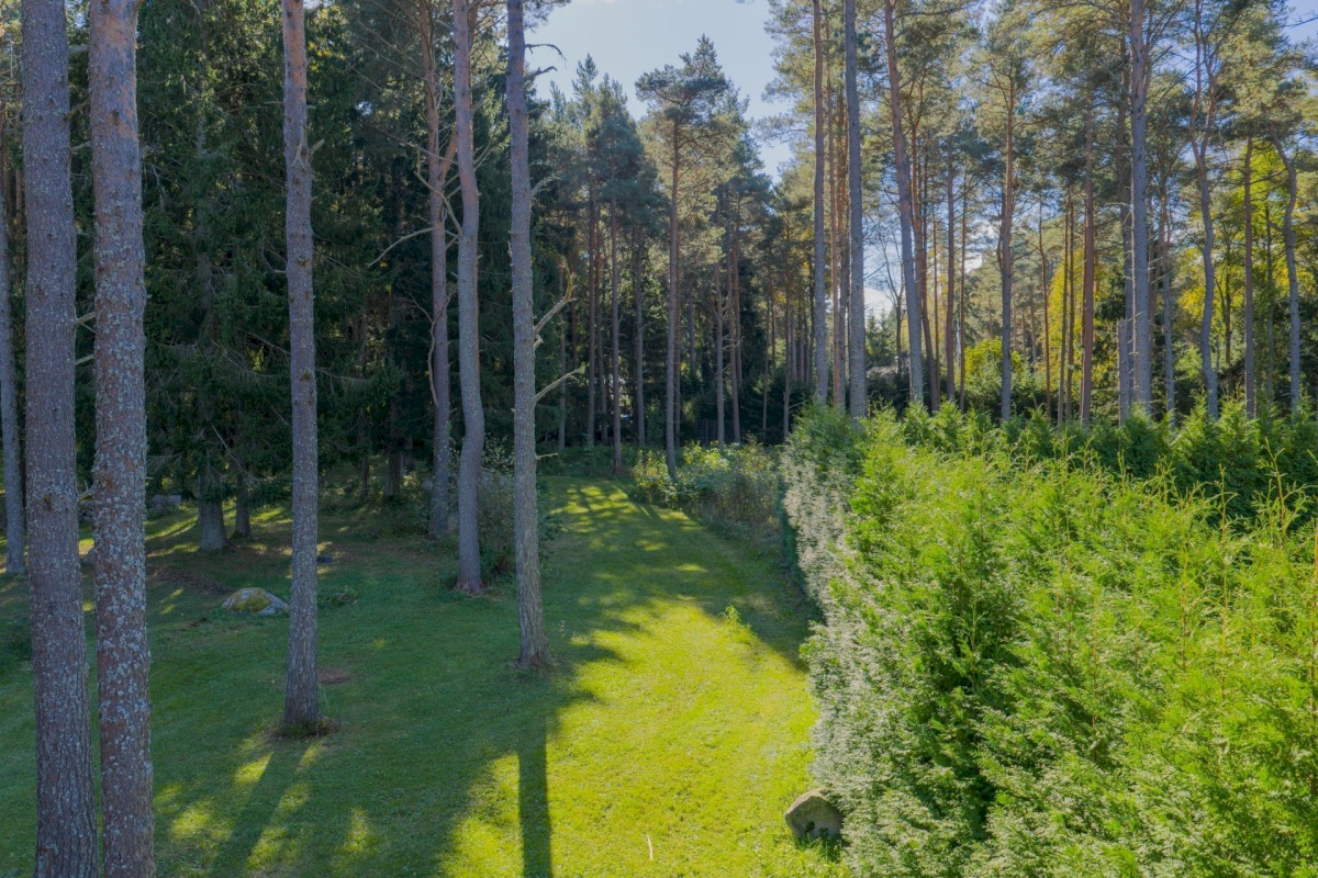 Viimsi vald, Tammneeme küla, Teigari tee 32