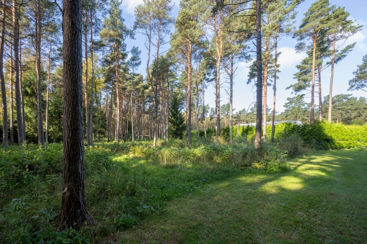 Viimsi vald, Tammneeme küla, Teigari tee 32