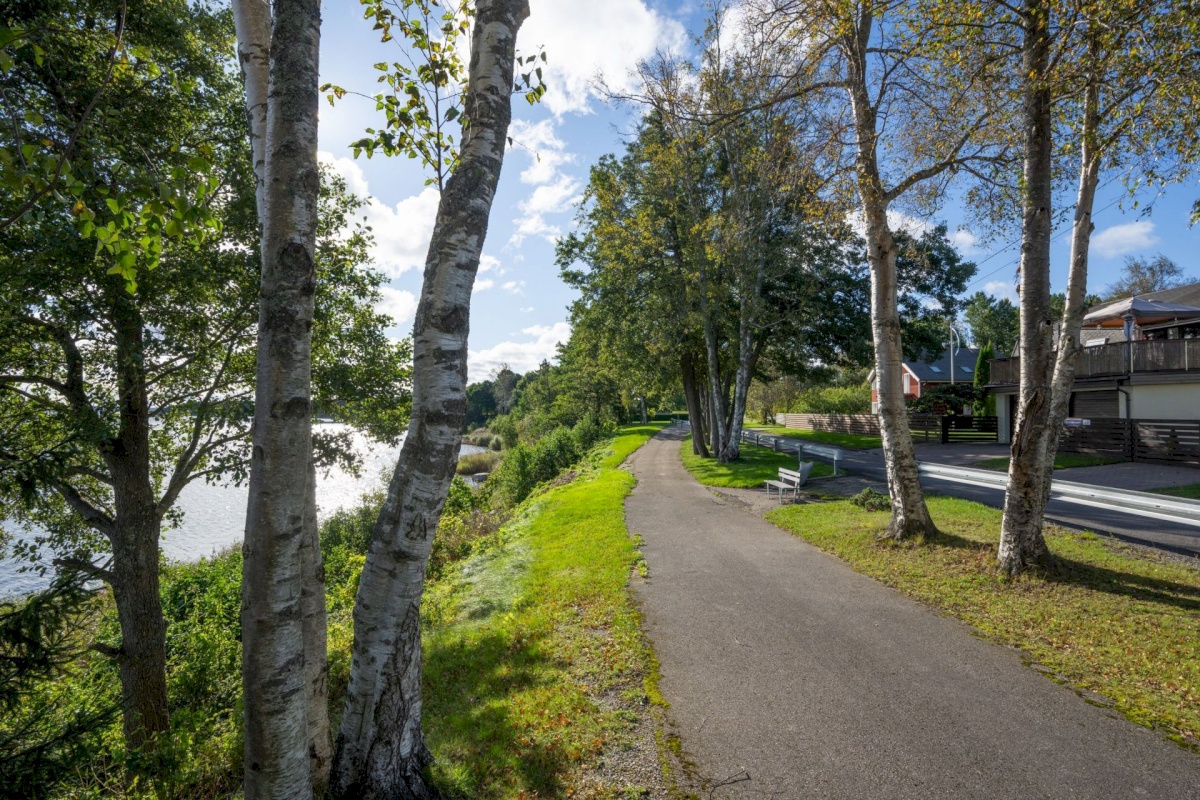 Viimsi vald, Tammneeme küla, Teigari tee 32