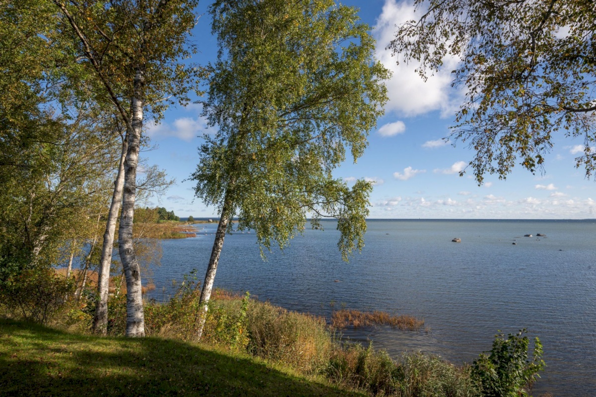 Viimsi vald, Tammneeme küla, Teigari tee 32