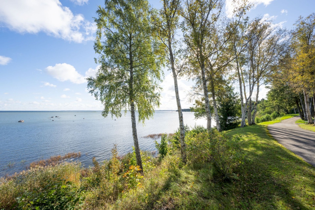 Viimsi vald, Tammneeme küla, Teigari tee 32