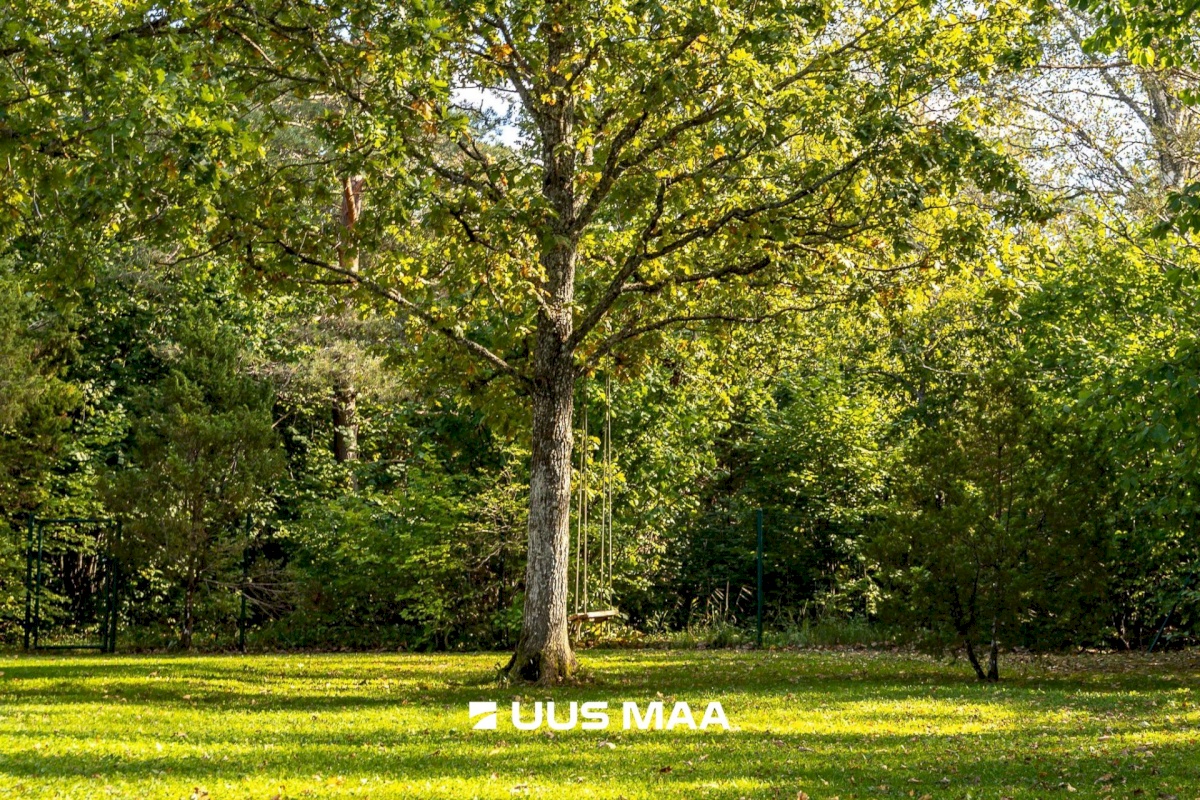 Keila linn, Kanarbiku 29