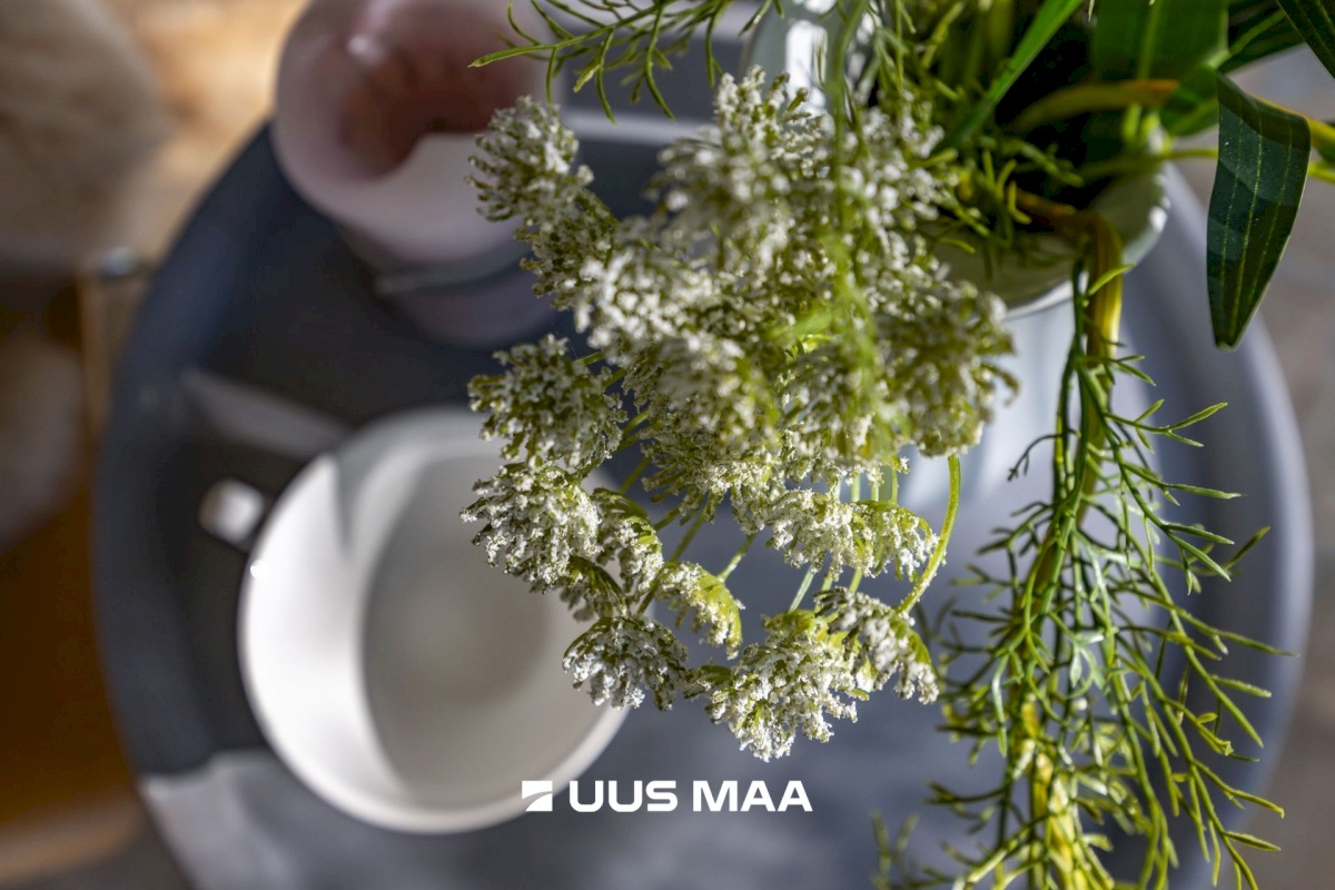 Keila linn, Kanarbiku 29