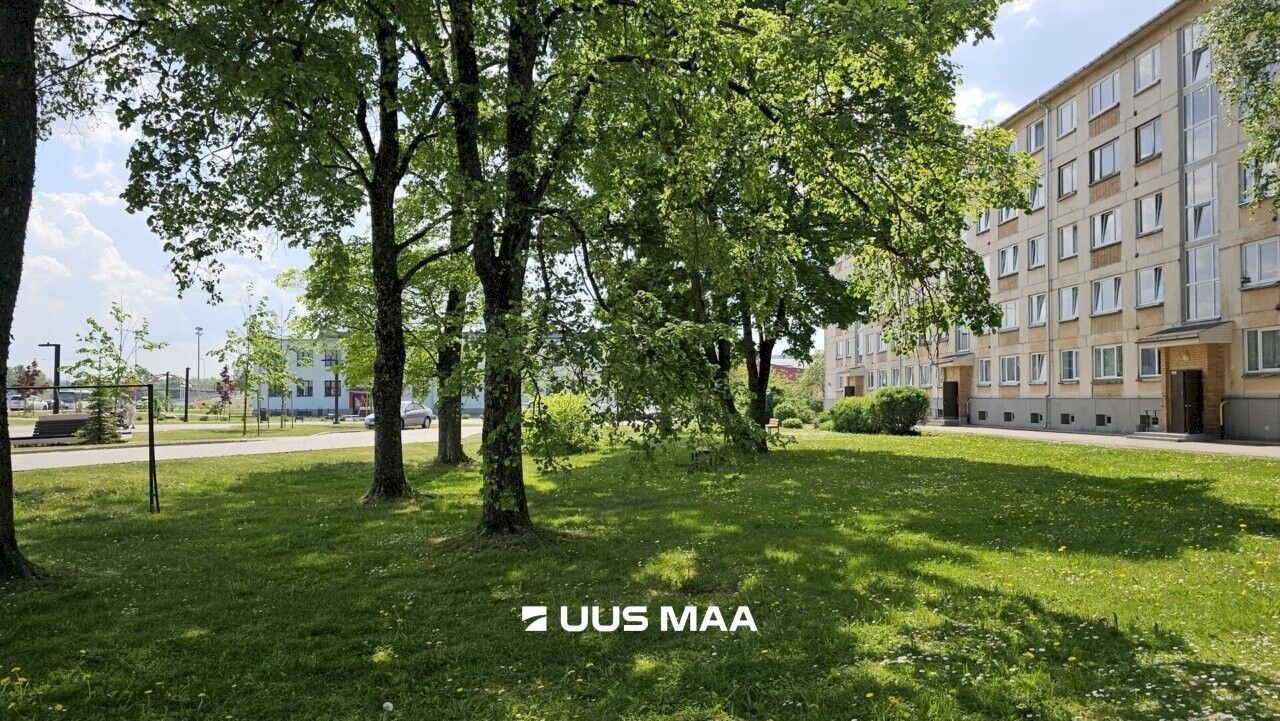 Jõhvi vald, Jõhvi linn, Hariduse tn 4